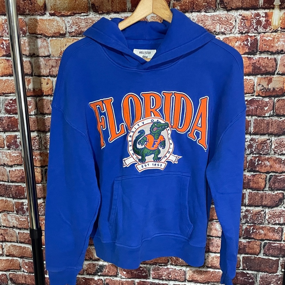 Hollister Royal Blue university of Florida Gators Hoodie small men’s box fit Y2K